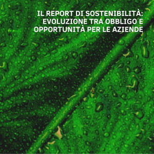 Webinar “Il Report di Sostenibilità” | lunedì 8 novembre ore 17.00